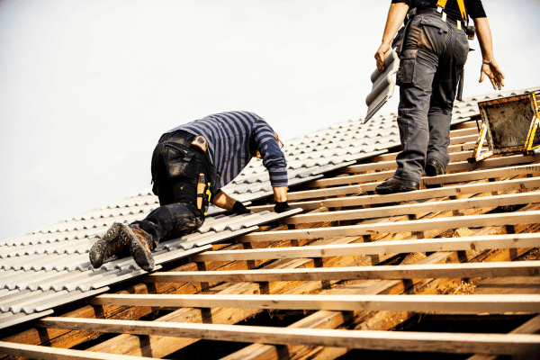 Entretien et démoussage